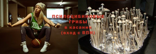 мдпв Карпинск