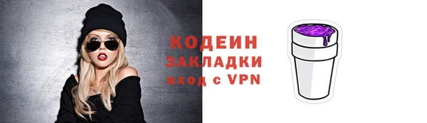 мдпв Карпинск