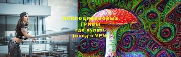 мдпв Карпинск