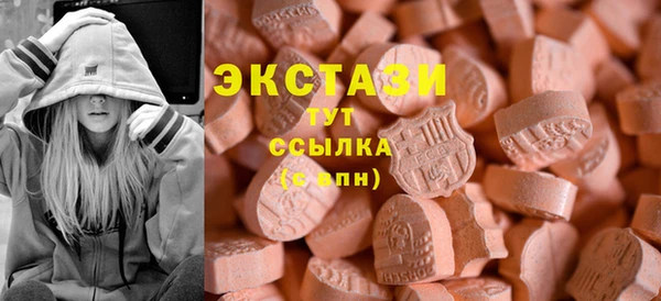 мдпв Карпинск