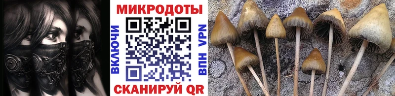 Купить закладки  Выкса  Псилоцибиновые грибы ЛСД 